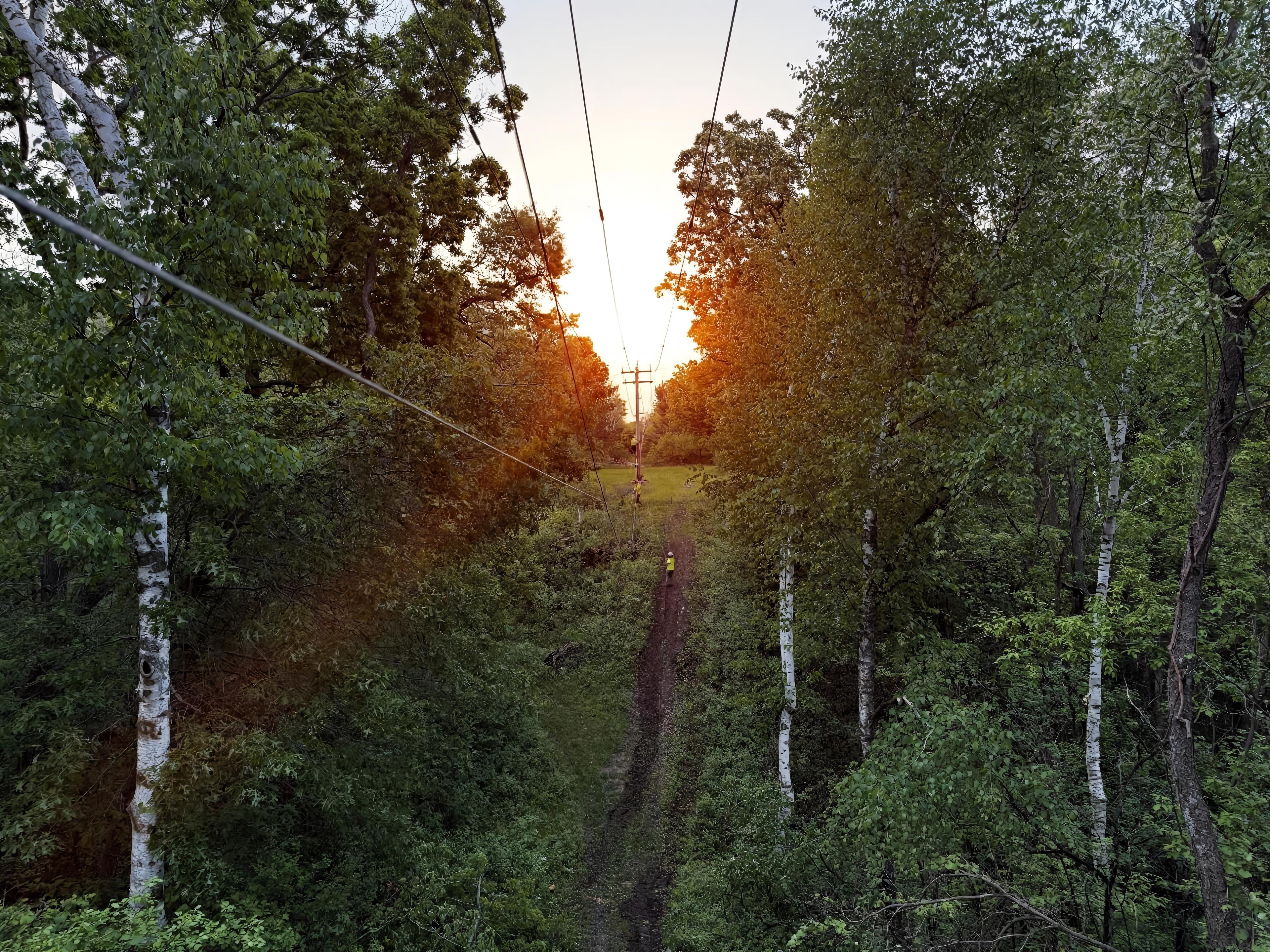 MCI fiber right-of-way cut through the woods toward a Midwest sky